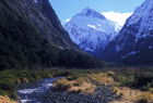 Fiordland ID 102060.jpg